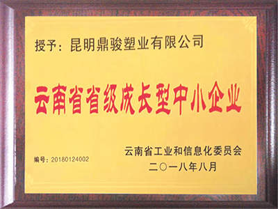 威尼斯886699-云南省省级成长型中小企业